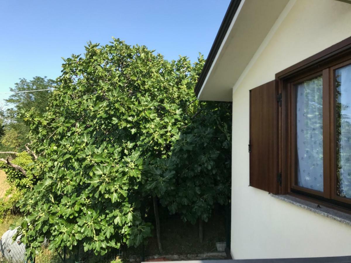 La Casa Di Nonna Bruna Муджа Екстер'єр фото