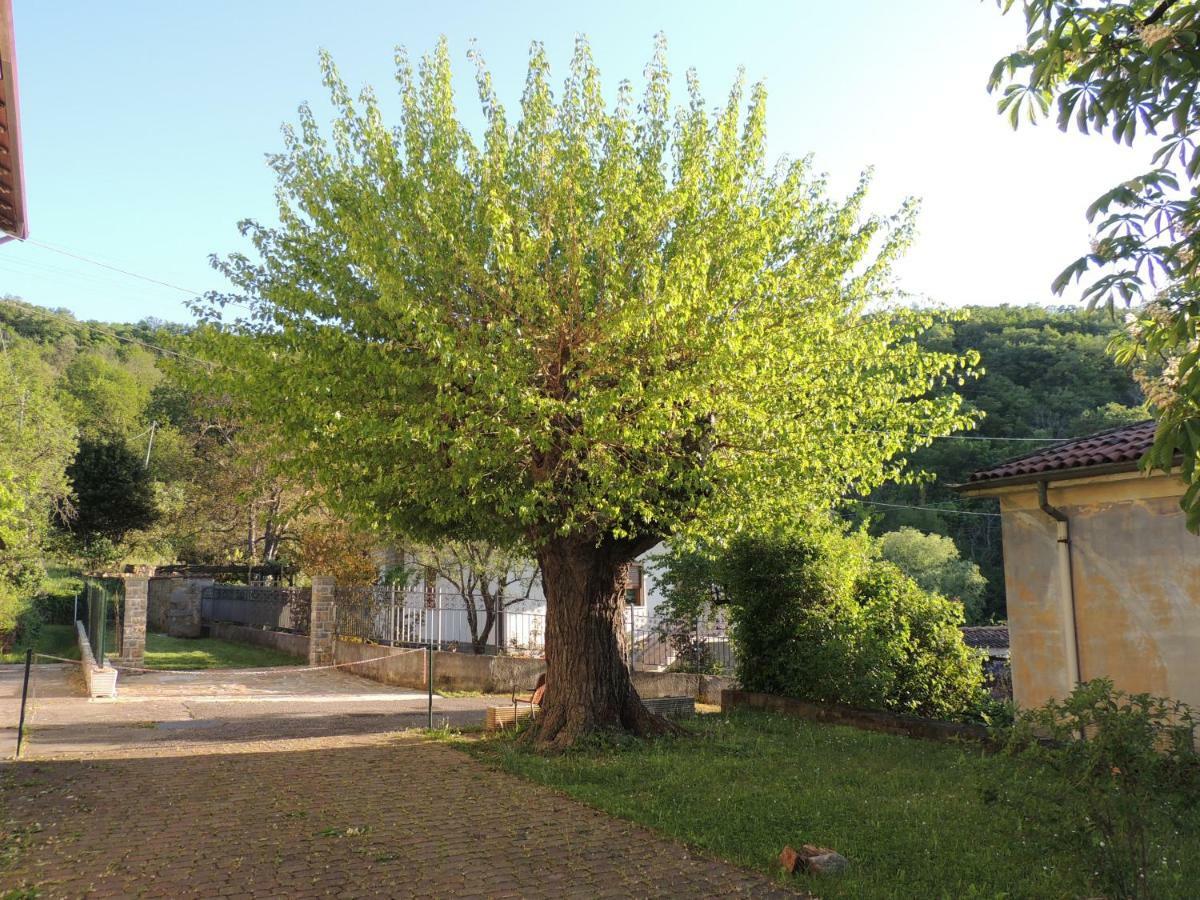 La Casa Di Nonna Bruna Муджа Екстер'єр фото